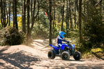 Raptor 110