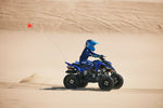 Raptor 110