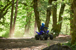 Raptor 110