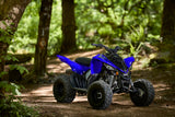 Raptor 110