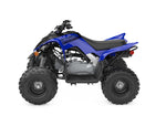 Raptor 110