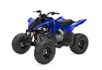 Raptor 110