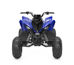 Raptor 110
