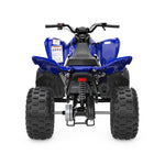 Raptor 110