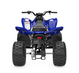 Raptor 110