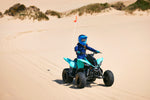 Raptor 110