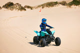 Raptor 110