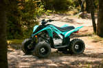 Raptor 110