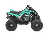 Raptor 110