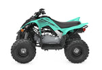 Raptor 110