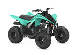 Raptor 110