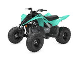 Raptor 110