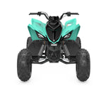 Raptor 110
