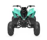 Raptor 110