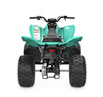 Raptor 110