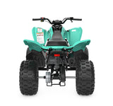 Raptor 110
