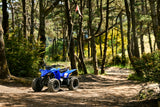 Raptor 50 (YFZ50)