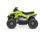 Raptor 50 (YFZ50)
