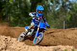 2026 YZ65