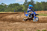 2026 YZ65